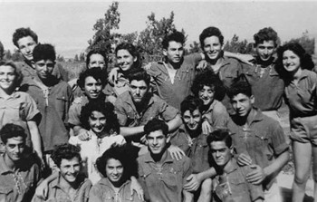 יוסף גרעין ארזים.png