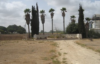 IMG_1592.JPG