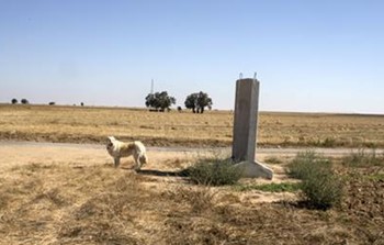 גבו עם נגה.jpg