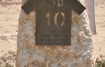 עדי פטר.jpg