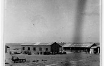נירים בדנגור 1946.jpg