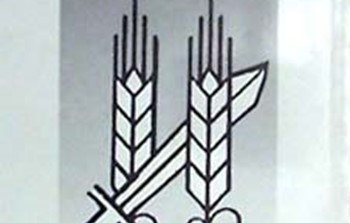 מאיר פעיל-פלמח.jpg