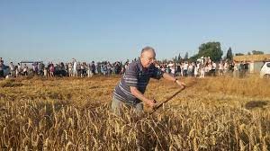 אריה גניסלב קוצר.jpg